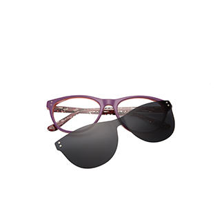 Custom Clip-on Eyeglasses 501 A0401wholesale Supplier